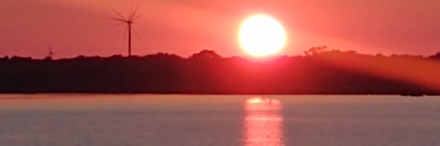 lexi_burnham's profile banner image