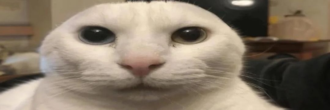 Chillin'Maybe 🔞 banner