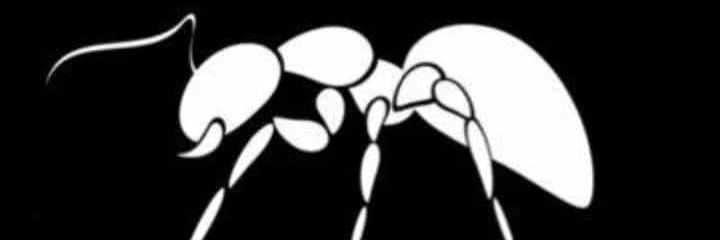 Wicky_Chinwa's profile banner image