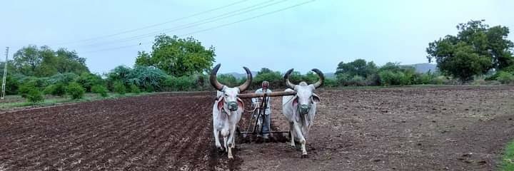 Dinesh_Guj's profile banner image