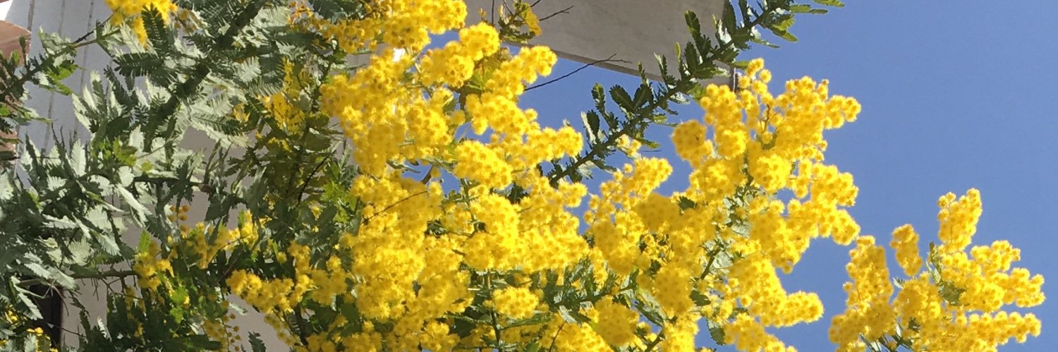 りんごのしん banner