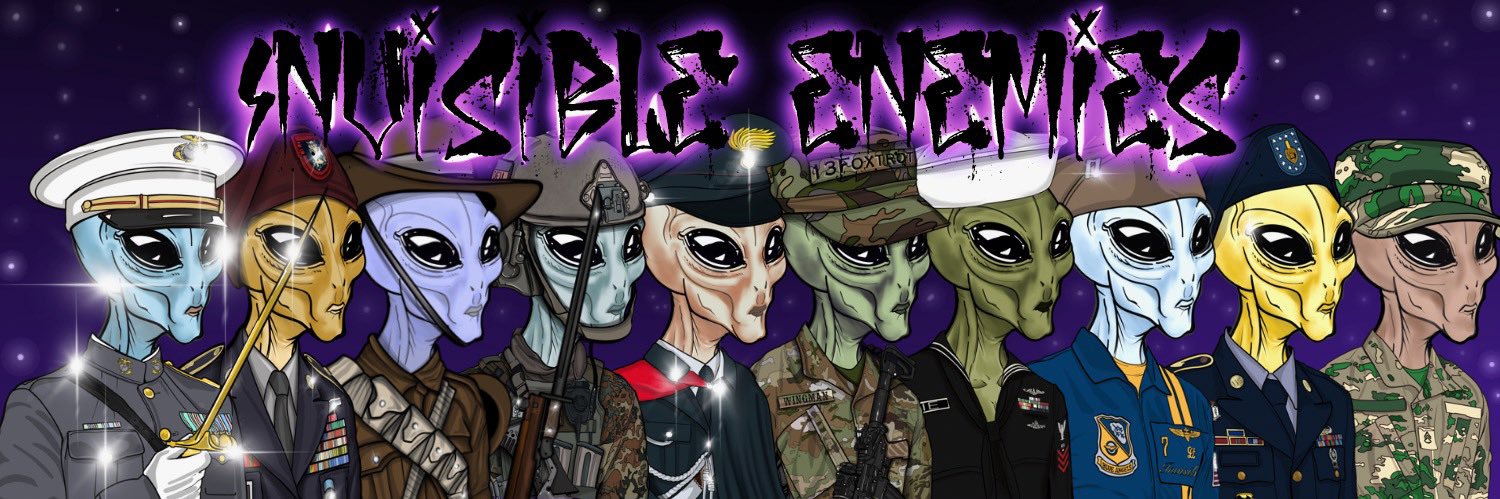 •Invisible Enemies•'s banner