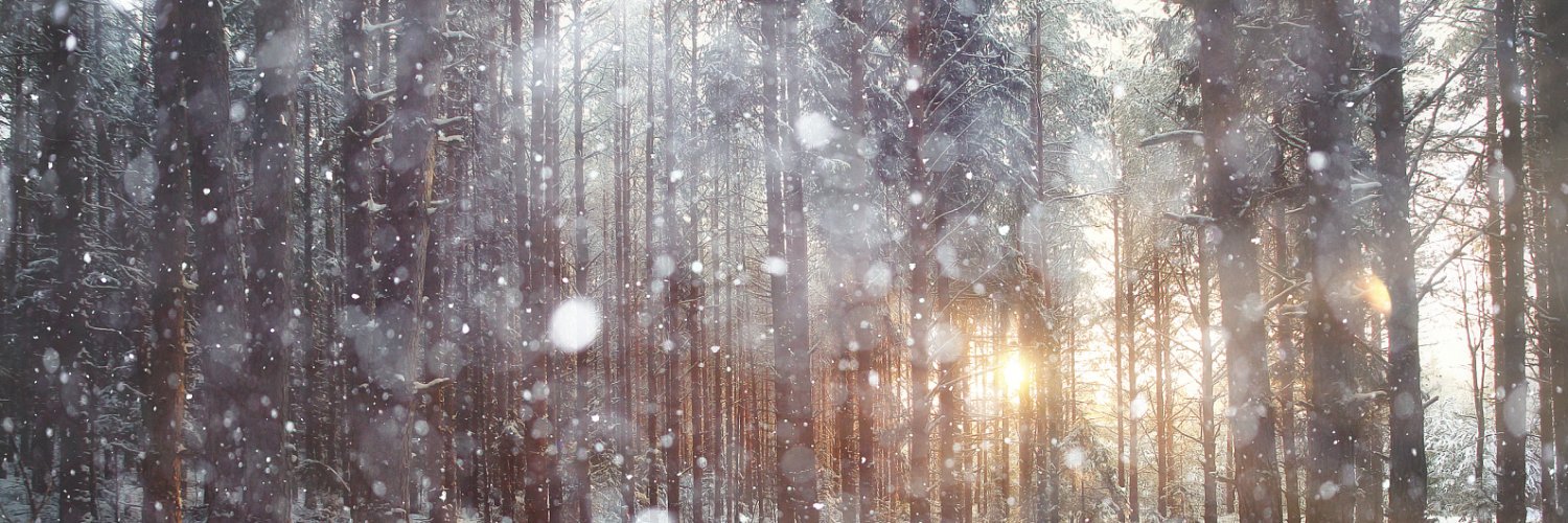 LinDa82376902's profile banner image