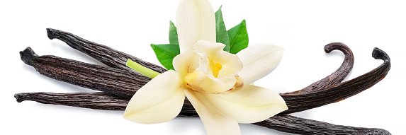 Angel53129331's profile banner image