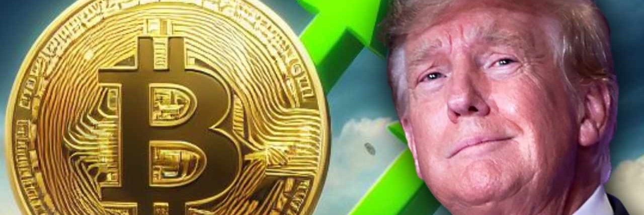 Crypto KingDom banner