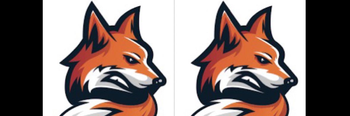 Yesenia Rodriguez, MLS banner