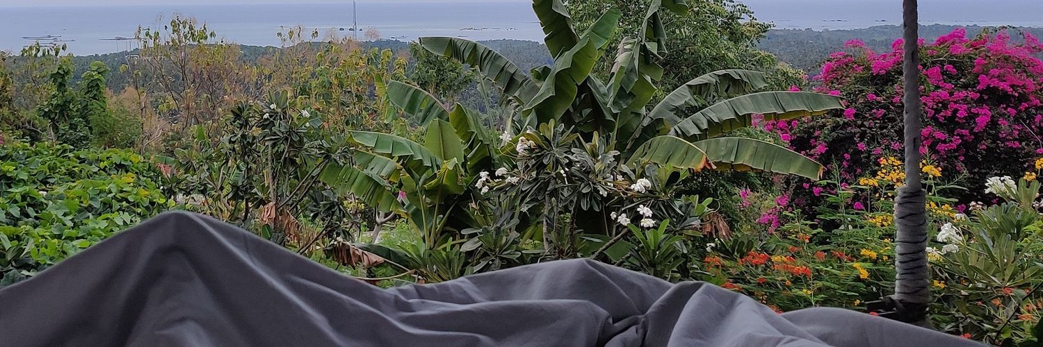RuneMaxi's profile banner image