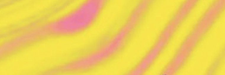 haremollycoool's profile banner image