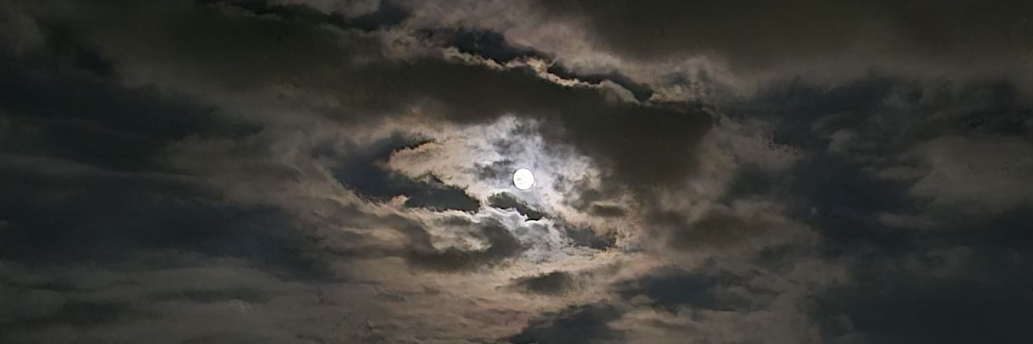 jilry's profile banner image