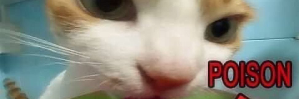 prettyhungry_'s profile banner image