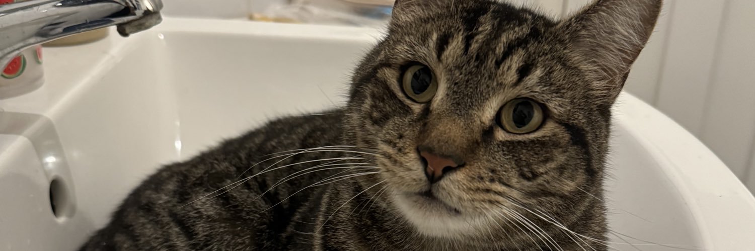 Gilbup Tropsnart banner