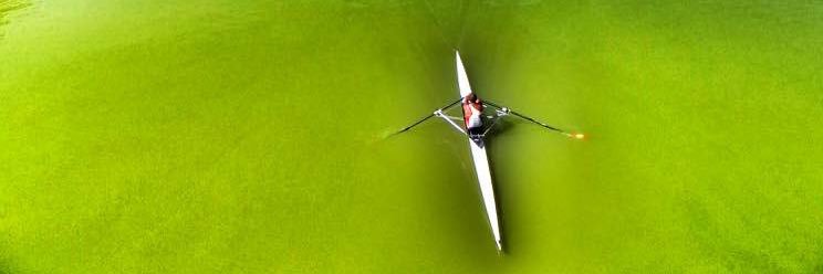 Stephen O'Donnell banner