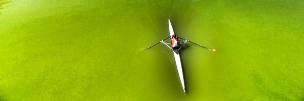 stephenodonn Profile Banner