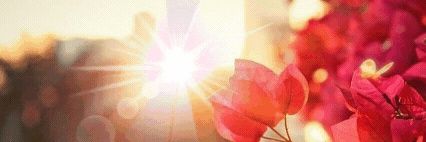 nathcd2's profile banner image