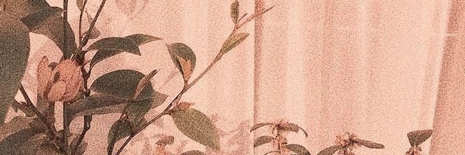 amora banner