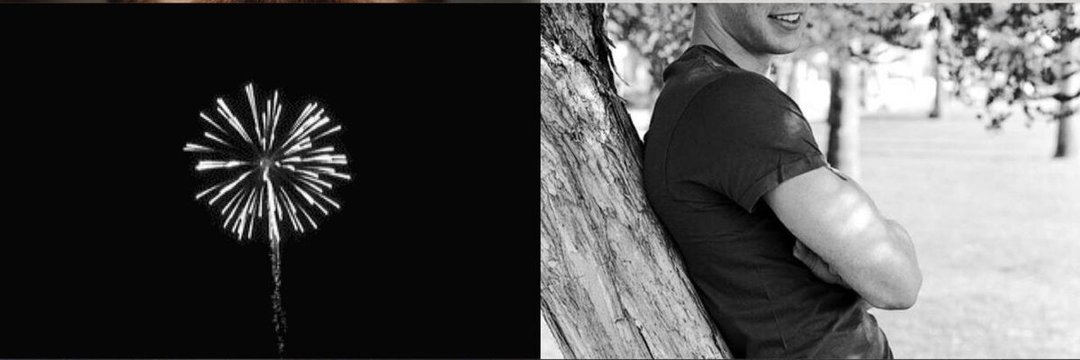 𝘓𝘖𝘚𝘛 𝘗𝘙𝘖𝘍𝘌𝘚𝘚𝘖𝘙. banner