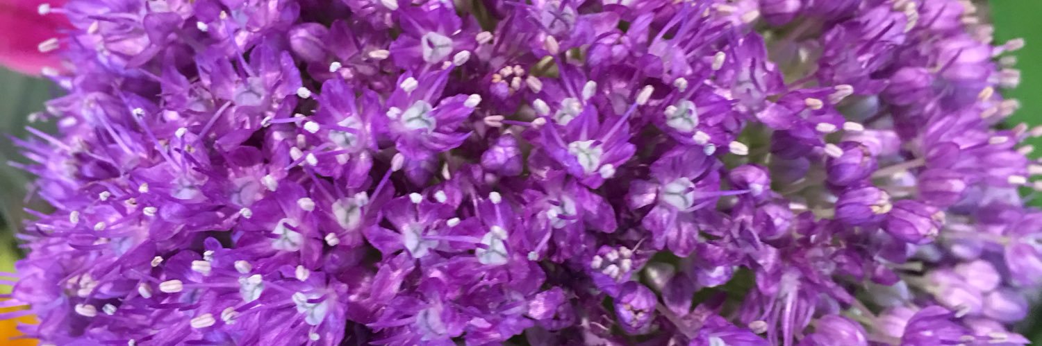 IdrisUnaldrs's profile banner image