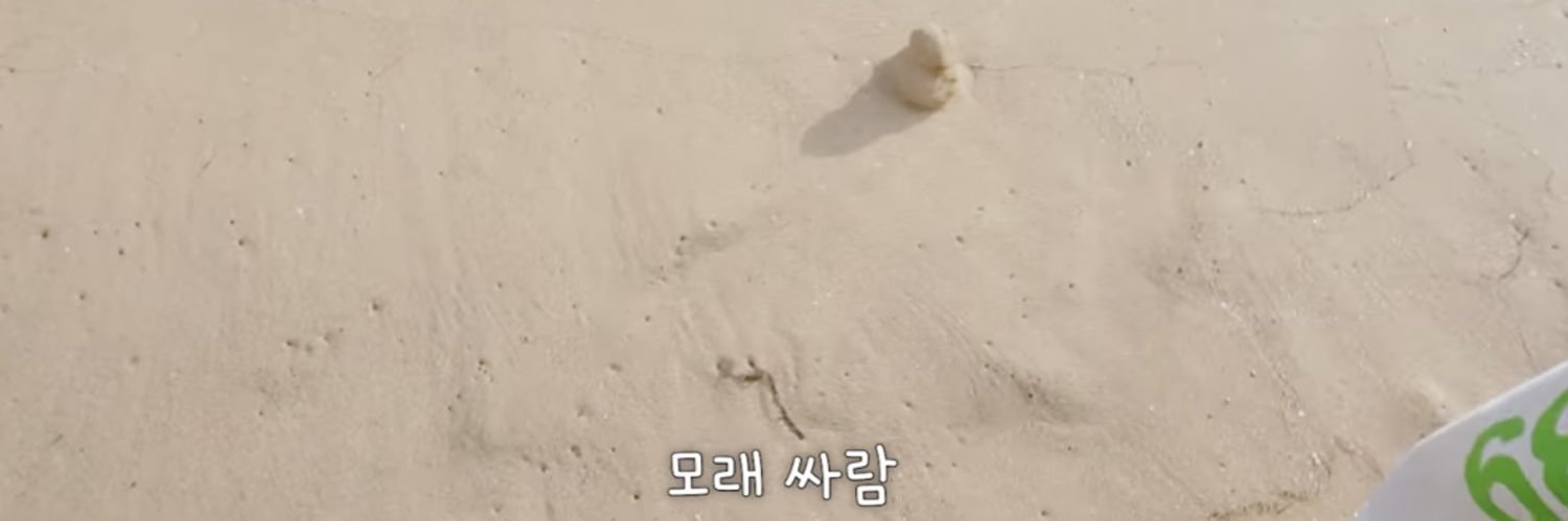 모래 banner