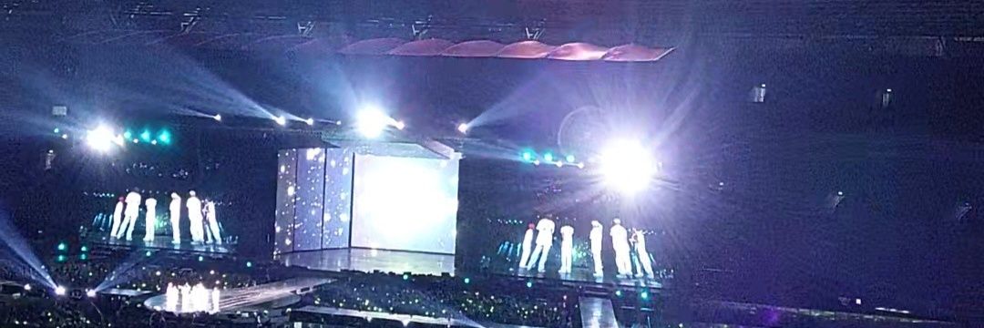 🌻a🐻 banner