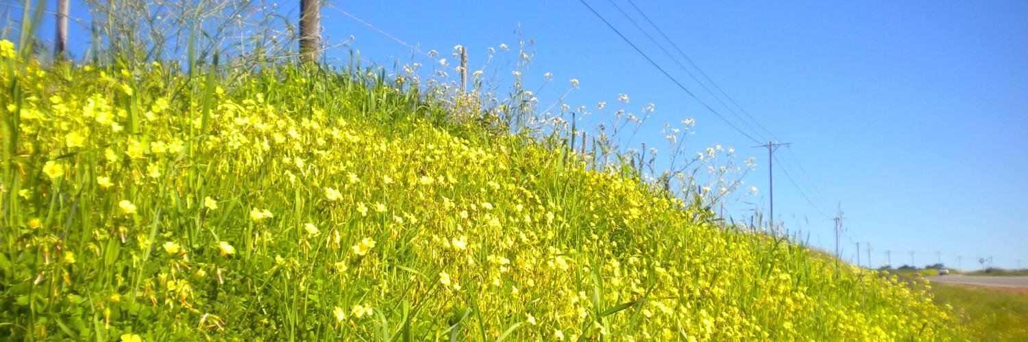 Pablo Gonzalez banner