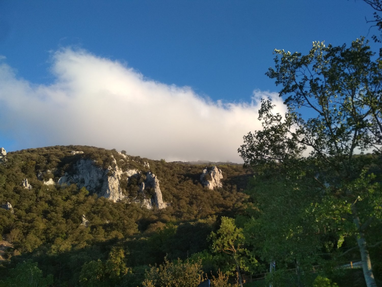 Nuria banner