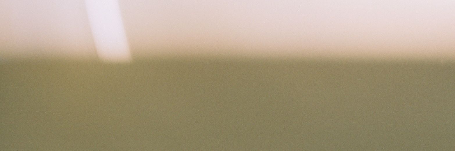 Helene Dallinger banner