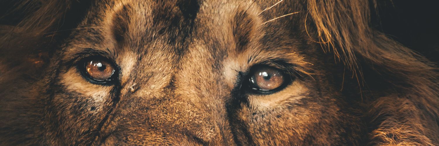 RavanKalyugKa's profile banner image