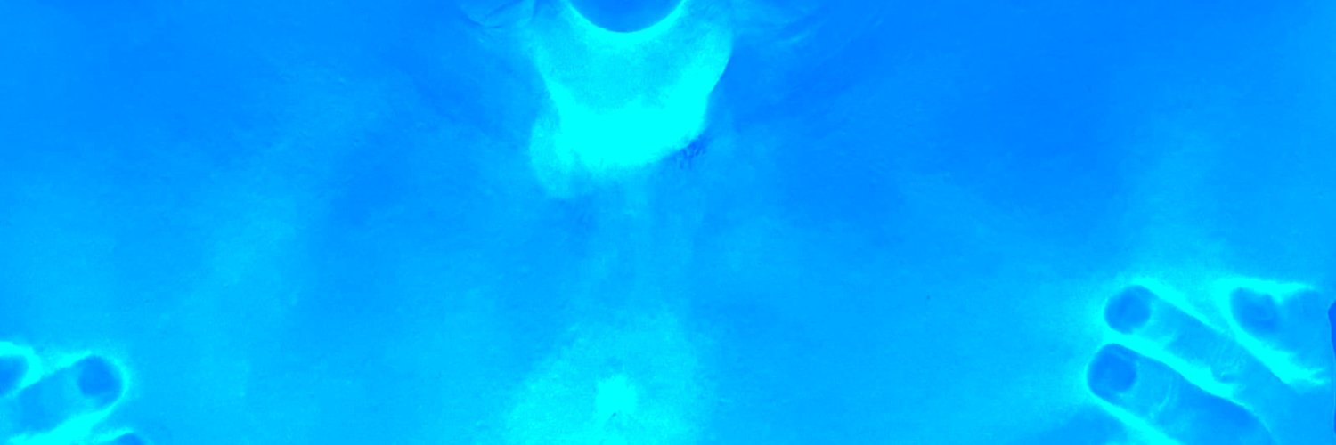 sissybee87's profile banner image