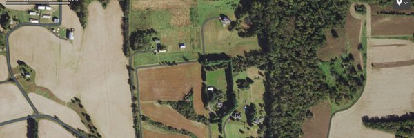 psychodynamice Profile Banner