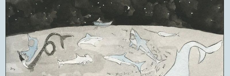 zriym17's profile banner image