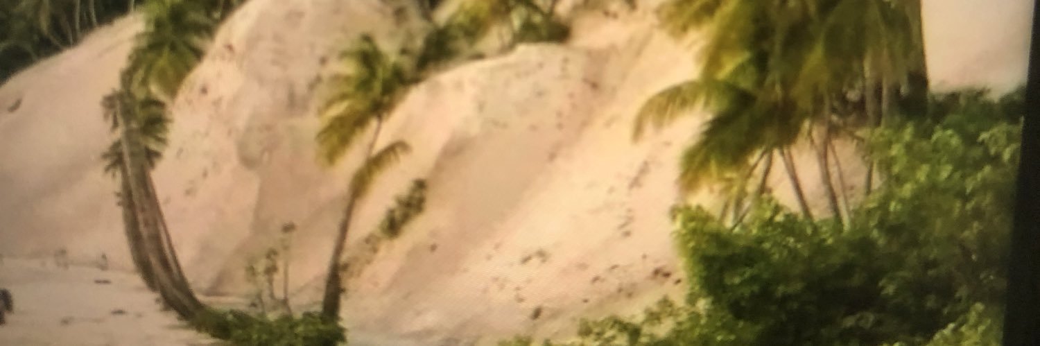 HnuPrathwn's profile banner image