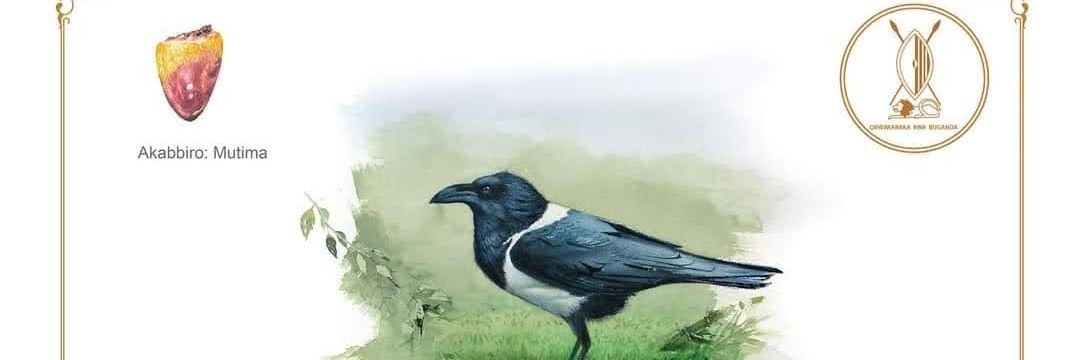 McbenardLule's profile banner image