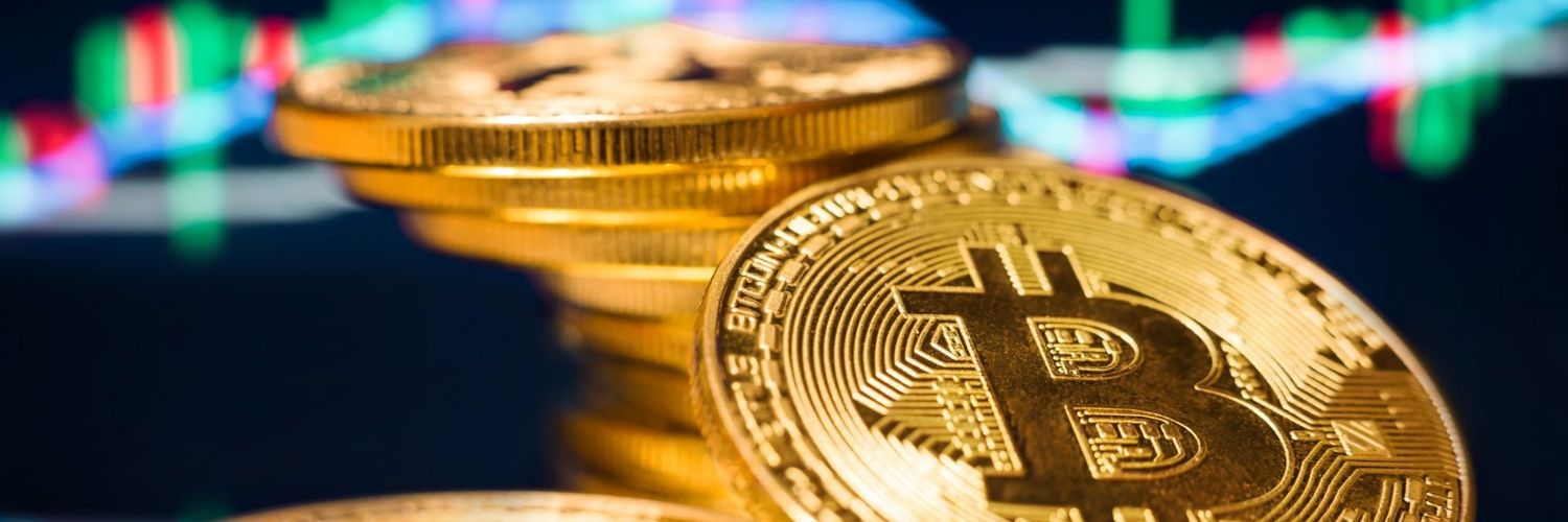 Crypto Wolves 💎 banner