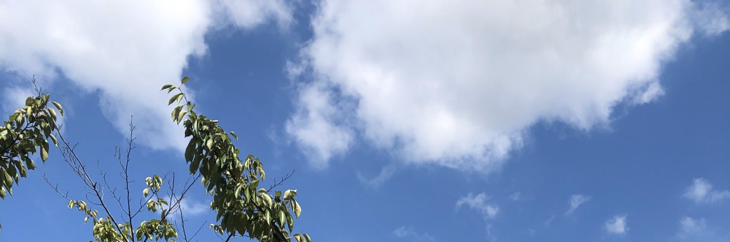directorJDM's profile banner image