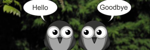 Chelsea Black ):) ∞ banner