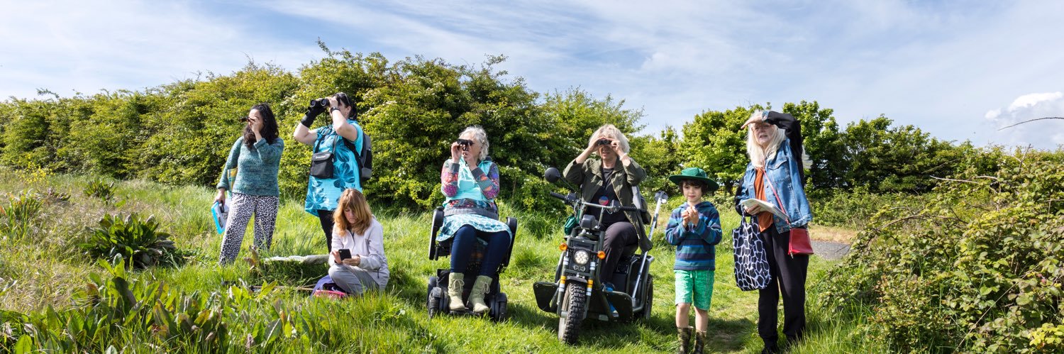 WildWithWheels banner