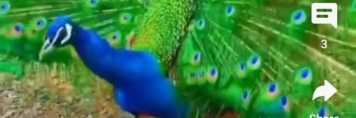 Hi53540075's profile banner image