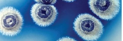 Glasgow Microbiology Collective banner