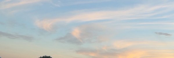 Graveens Profile Banner