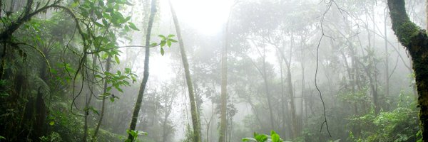 toxxsty Profile Banner