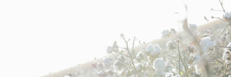 closed banner