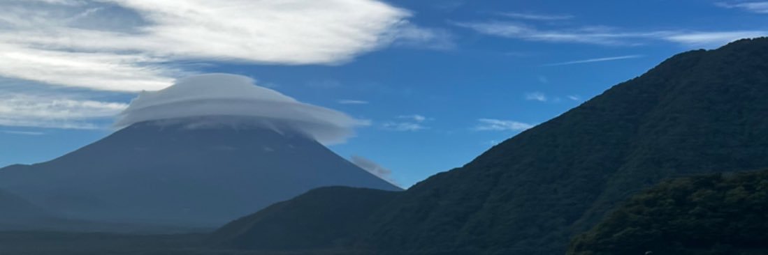 altolily's profile banner image