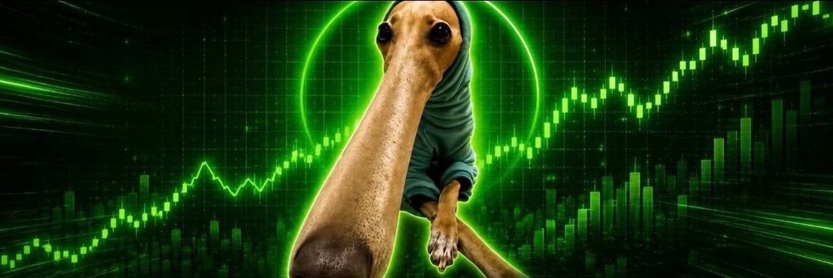 loooongS0L's profile banner image