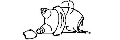 らう's banner