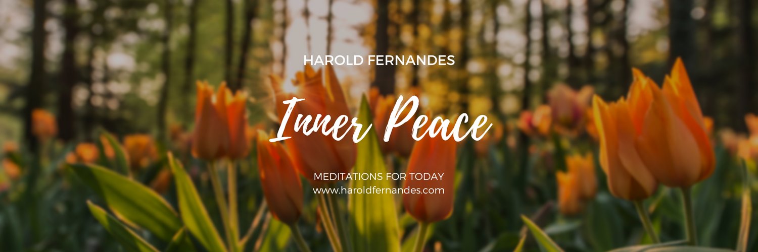 haroldfernandes's profile banner image