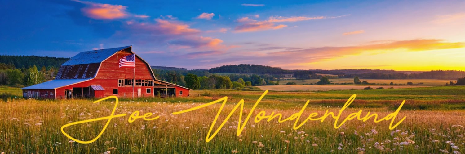 Joe Wonderland's banner