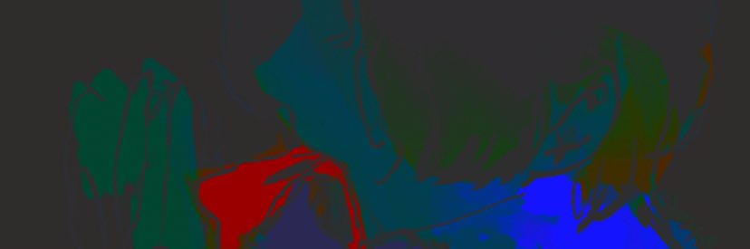 Cheisn banner