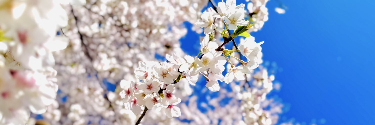 ap25392539's profile banner image
