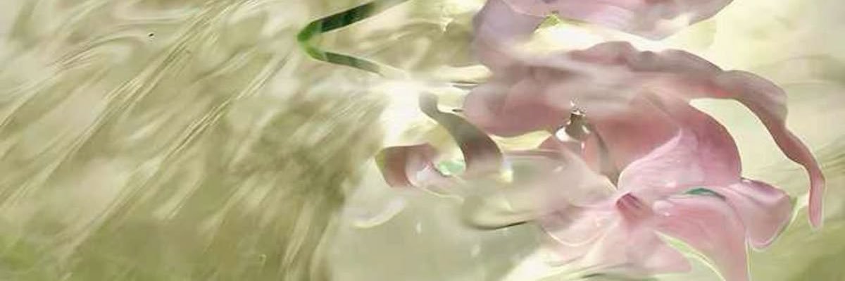 viiloww's profile banner image