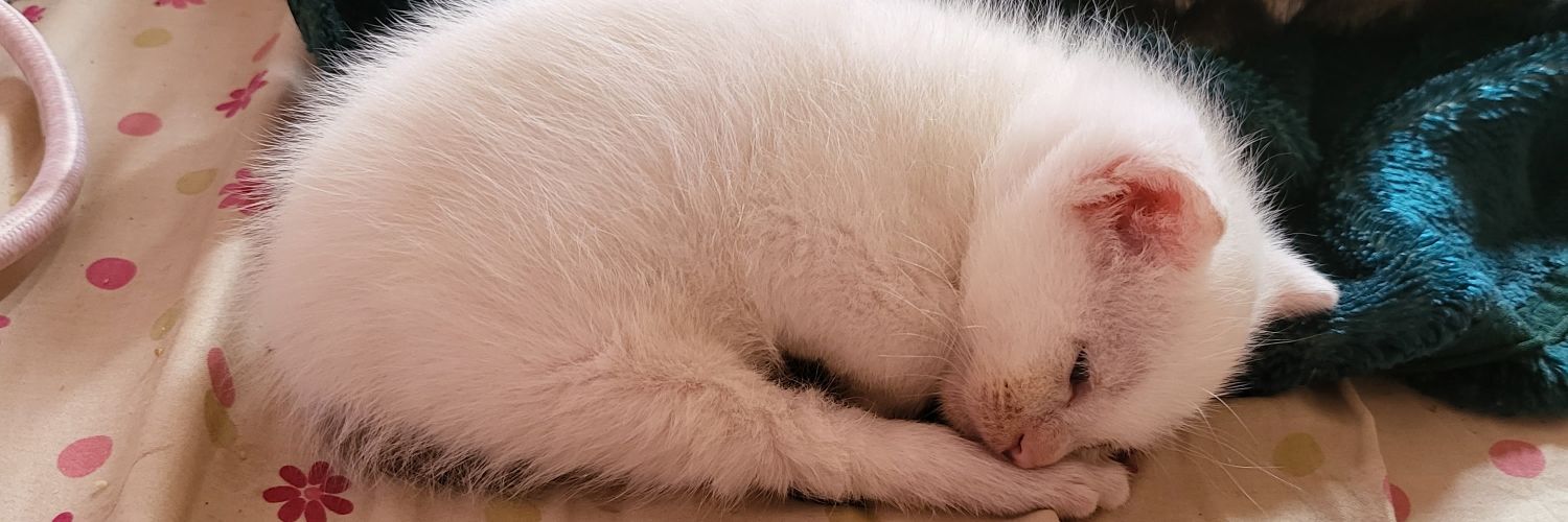 🔞666Render666🔞 banner